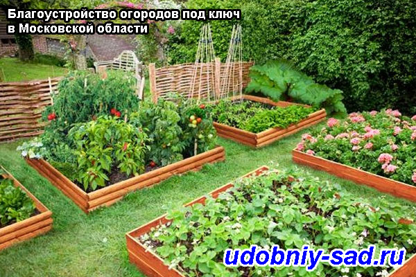 Пример благоустройства огорода под ключ в Московской области