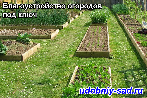 Благоустройство огородов под ключ в Московской и Тульской областях