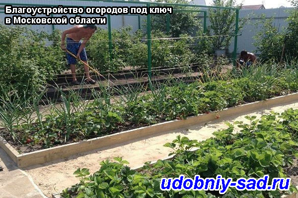 Благоустройство огородов под ключ в Московской области