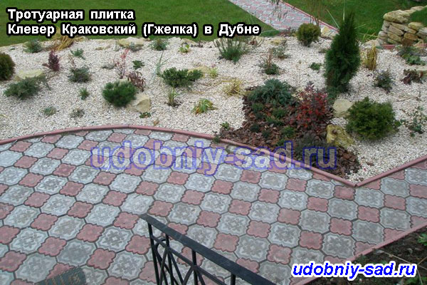 Укладка тротуарной плитки Клевер Краковский с элементами ландшафтного дизайна